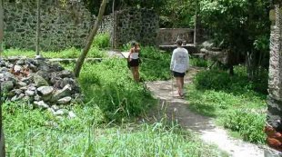 Cinnamon Bay Self-Guiding Trail